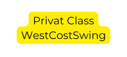 Privat Class WestCostSwing